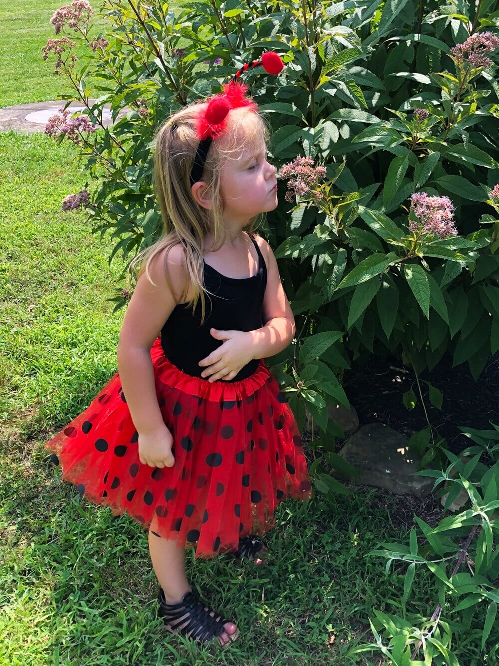Girls Ladybug Costume - Complete Kids Costume Set with Polka Dot Tutu Skirt & Antenna Headband - Sydney So Sweet