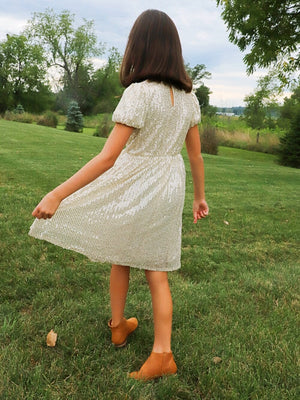 Silver Sparkly Sequin Short Sleeve Girls Fancy Special Occasion Dress - Sydney So Sweet