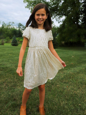 Silver Sparkly Sequin Short Sleeve Girls Fancy Special Occasion Dress - Sydney So Sweet