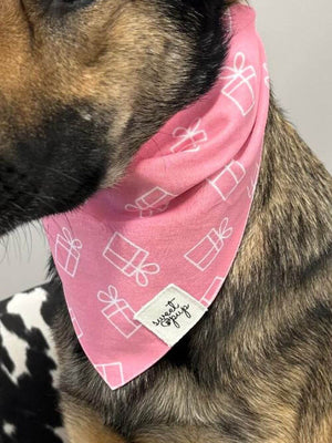 Dog Bandana - Dog Birthday Bandana Gifted Pink - Sydney So Sweet