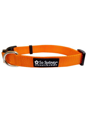 Orange Adjustable Nylon Dog Collar for Small, Medium, or Large Dogs - Sydney So Sweet