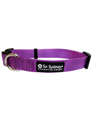 Purple Adjustable Basic Nylon Dog Collar for Small, Medium, or Large Dogs - Sydney So Sweet