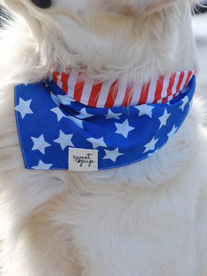 Dog Bandana - Patriotic American Flag Reversible - Sydney So Sweet