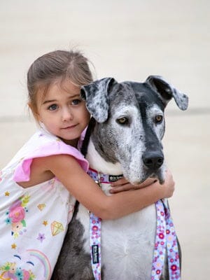 Cute Dog Collars & Matching Leashes – Stylish Pet Accessories for Every Pup