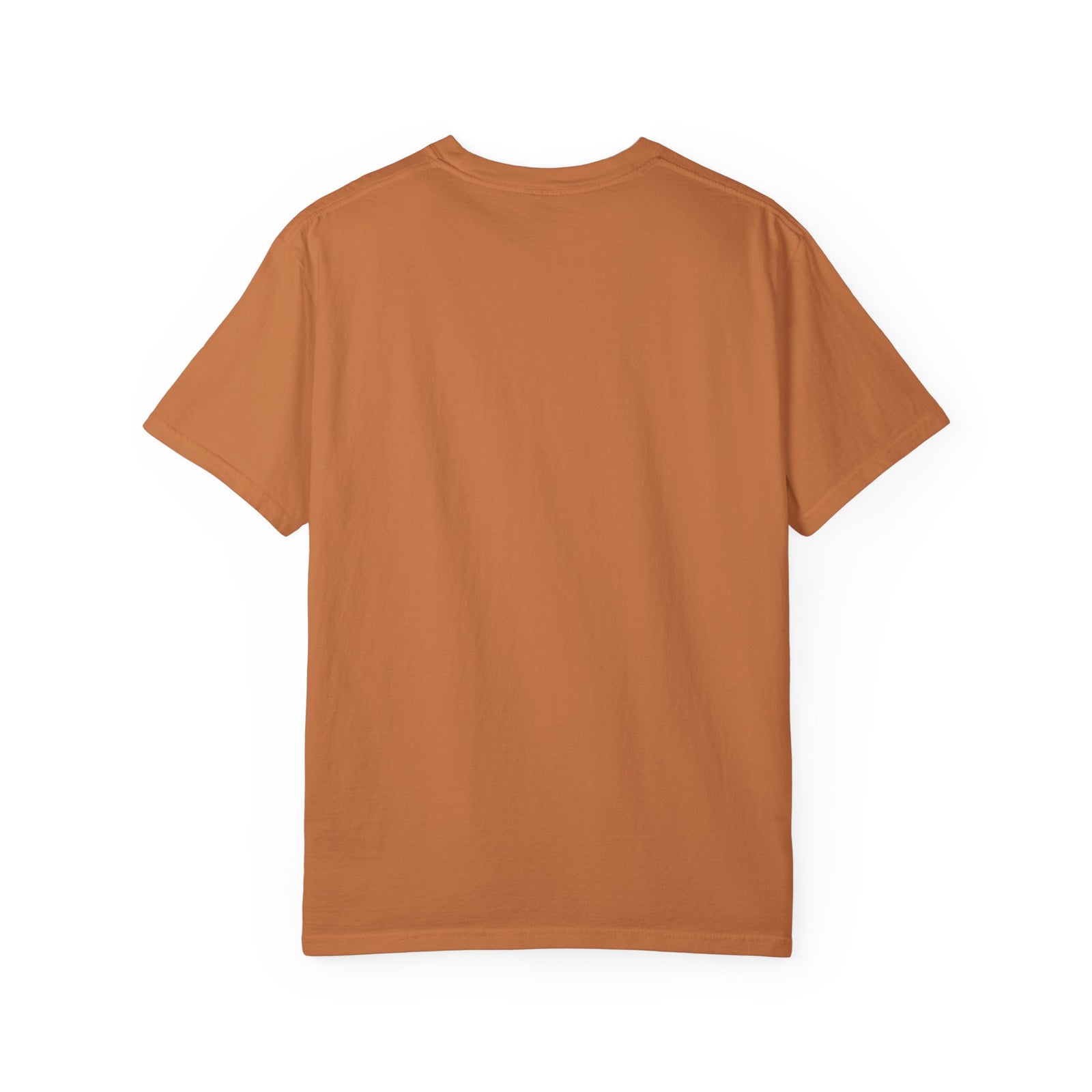 Come Alive in the Name of Jesus Graphic T-Shirt Christian Graphic Tee
