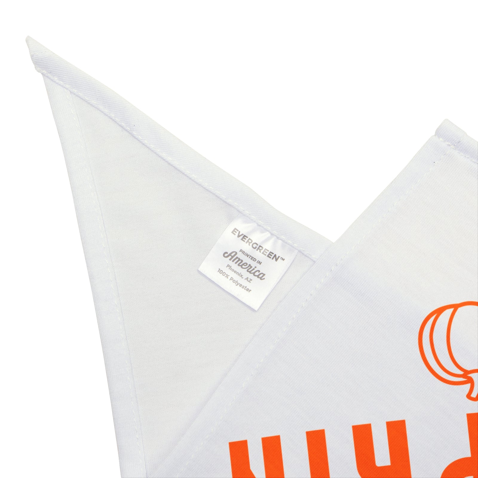 Mama’s Pumpkin Fall Dog Bandana