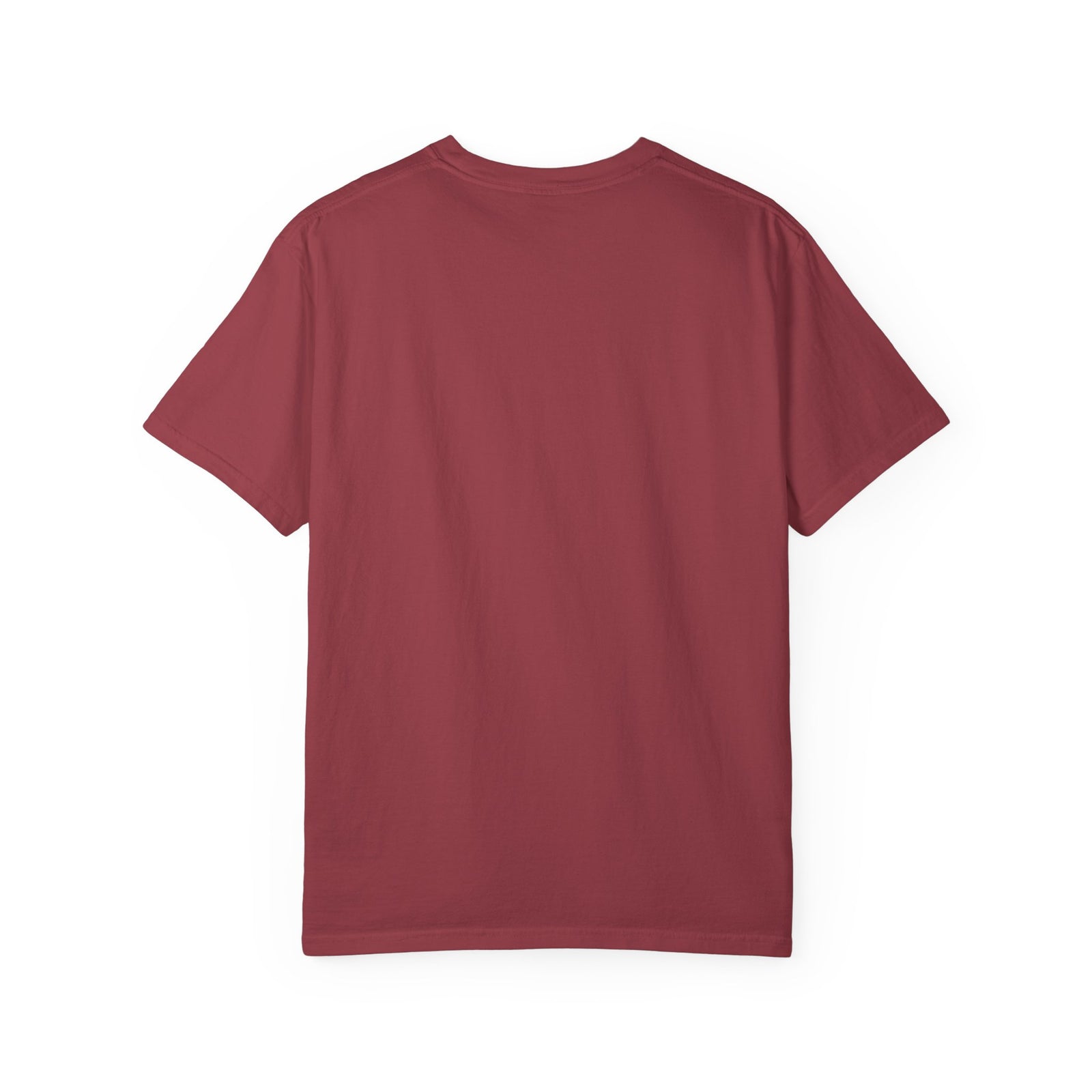 A Thrill of Hope Christmas Eve Distressed T-Shirt Christian Graphic Tee