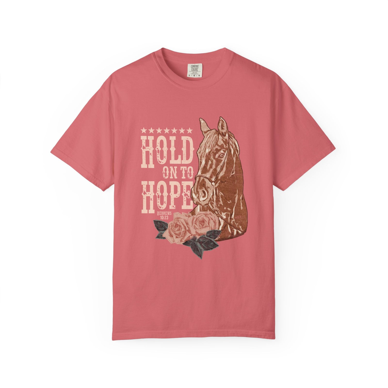 Hold On To Hope Horse T-Shirt Vintage Christian Distressed Graphic Tee
