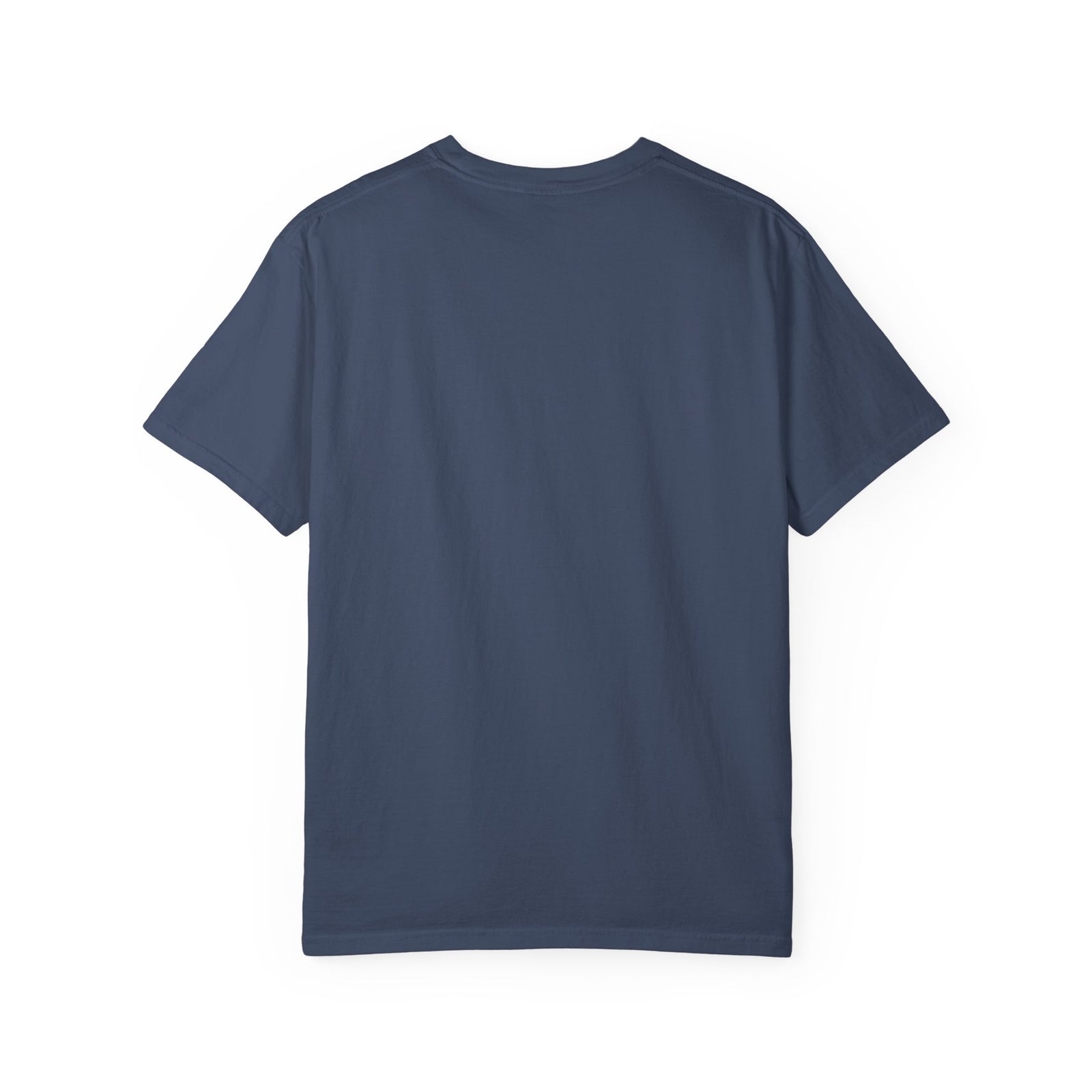A Thrill of Hope Christmas Eve Distressed T-Shirt Christian Graphic Tee