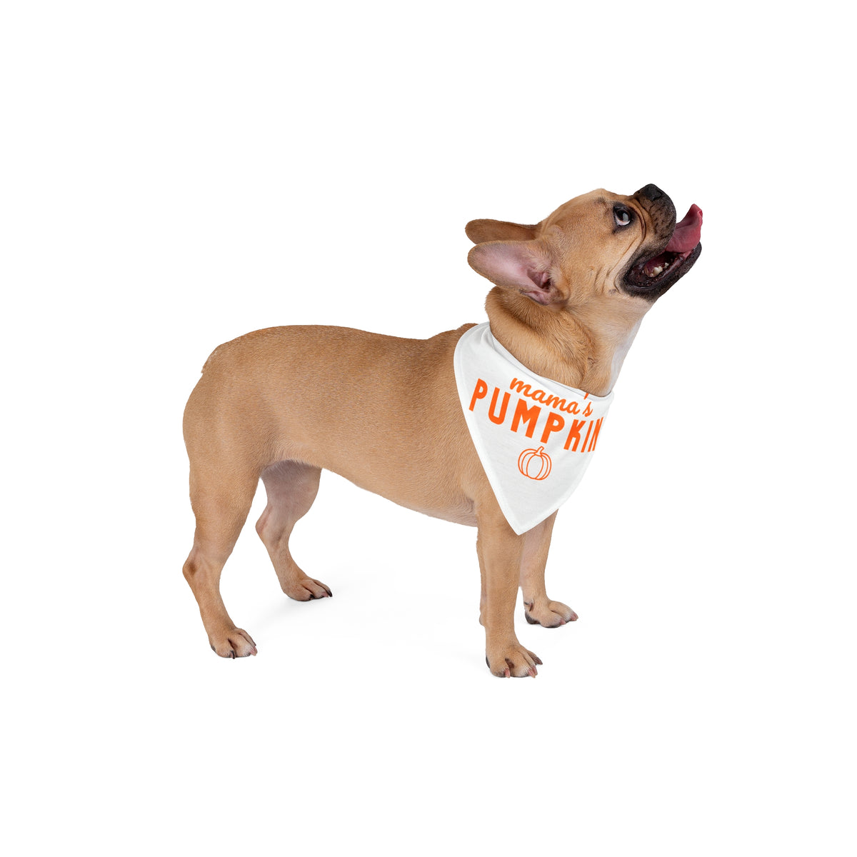 Mama’s Pumpkin Fall Dog Bandana