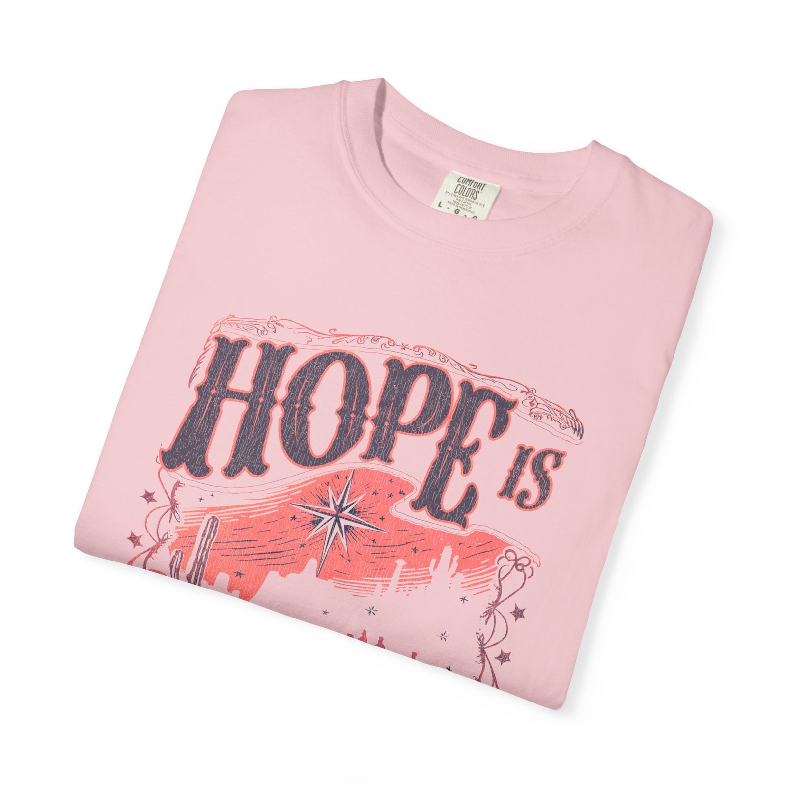 Hope is Born Christmas T-Shirt Christian Distressed Western Graphic Tee