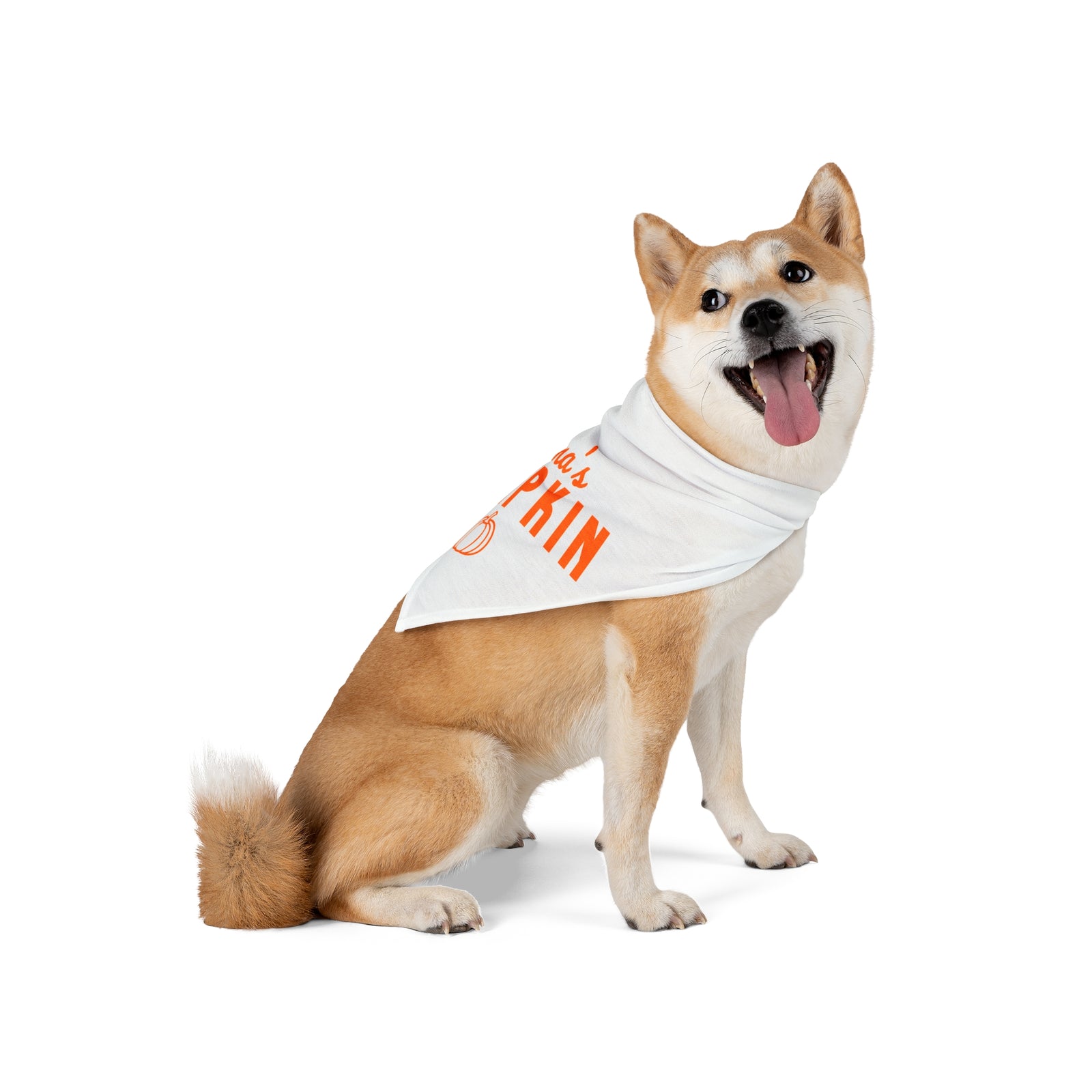 Mama’s Pumpkin Fall Dog Bandana