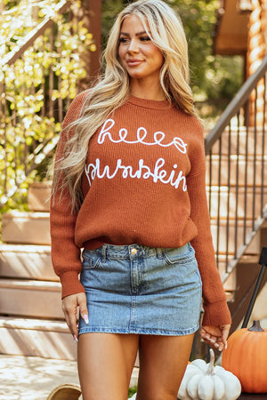 Hello Pumpkin Round Neck Long Sleeve Sweater - Sydney So Sweet