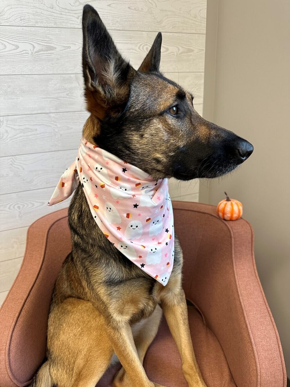 Cute Little Ghost Dog Bandana - Sydney So Sweet