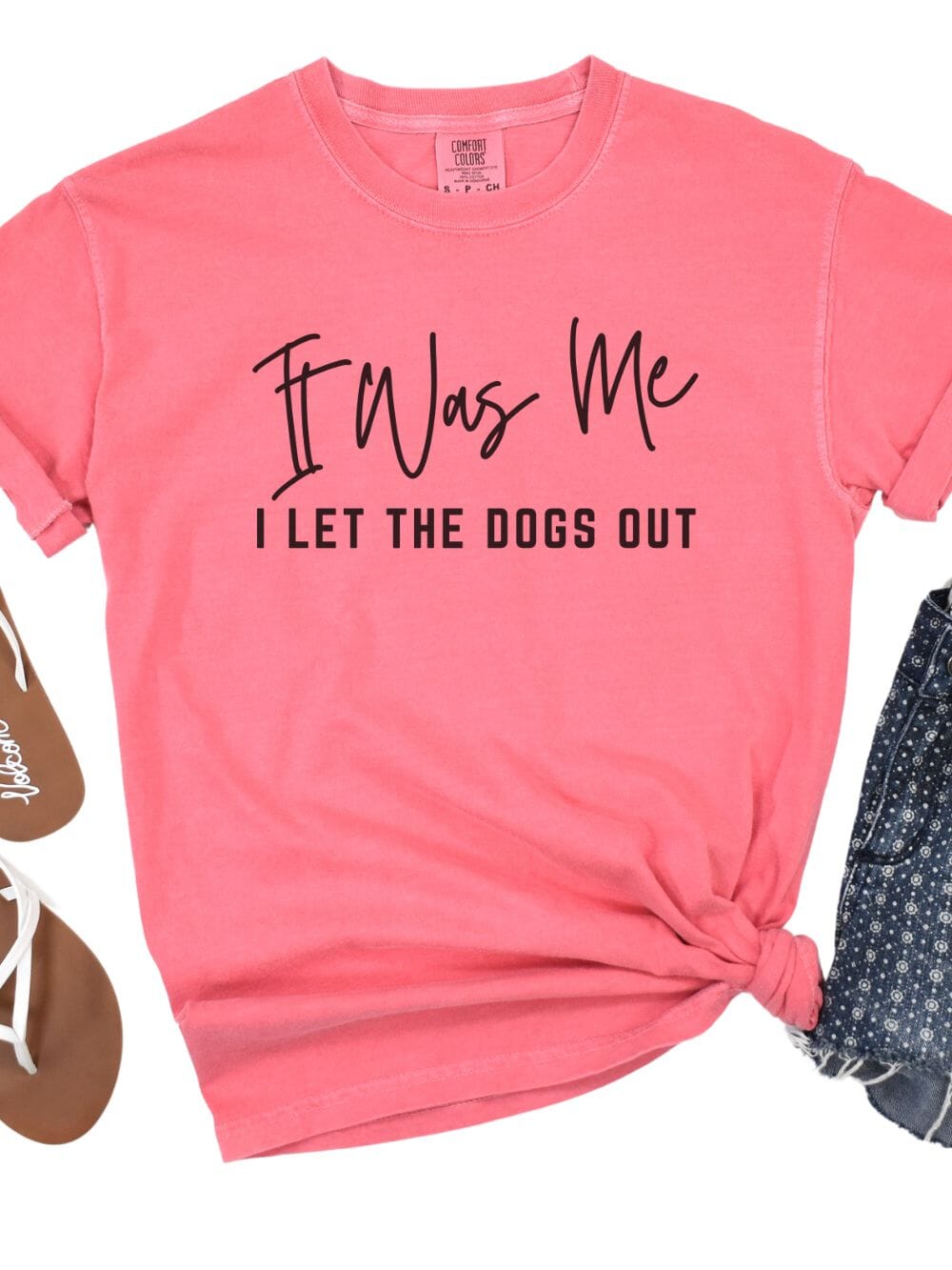 It Was Me I Let The Dogs Out Funny Unisex Short Sleeve Graphic T-Shirt