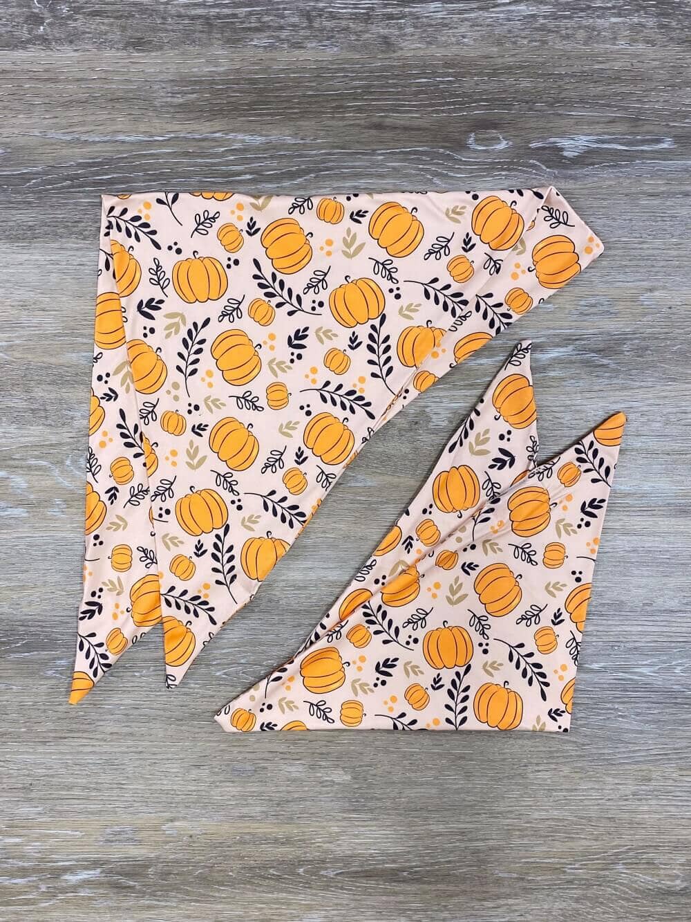 Finally Pumpkin Season Dog Bandana - Sydney So Sweet