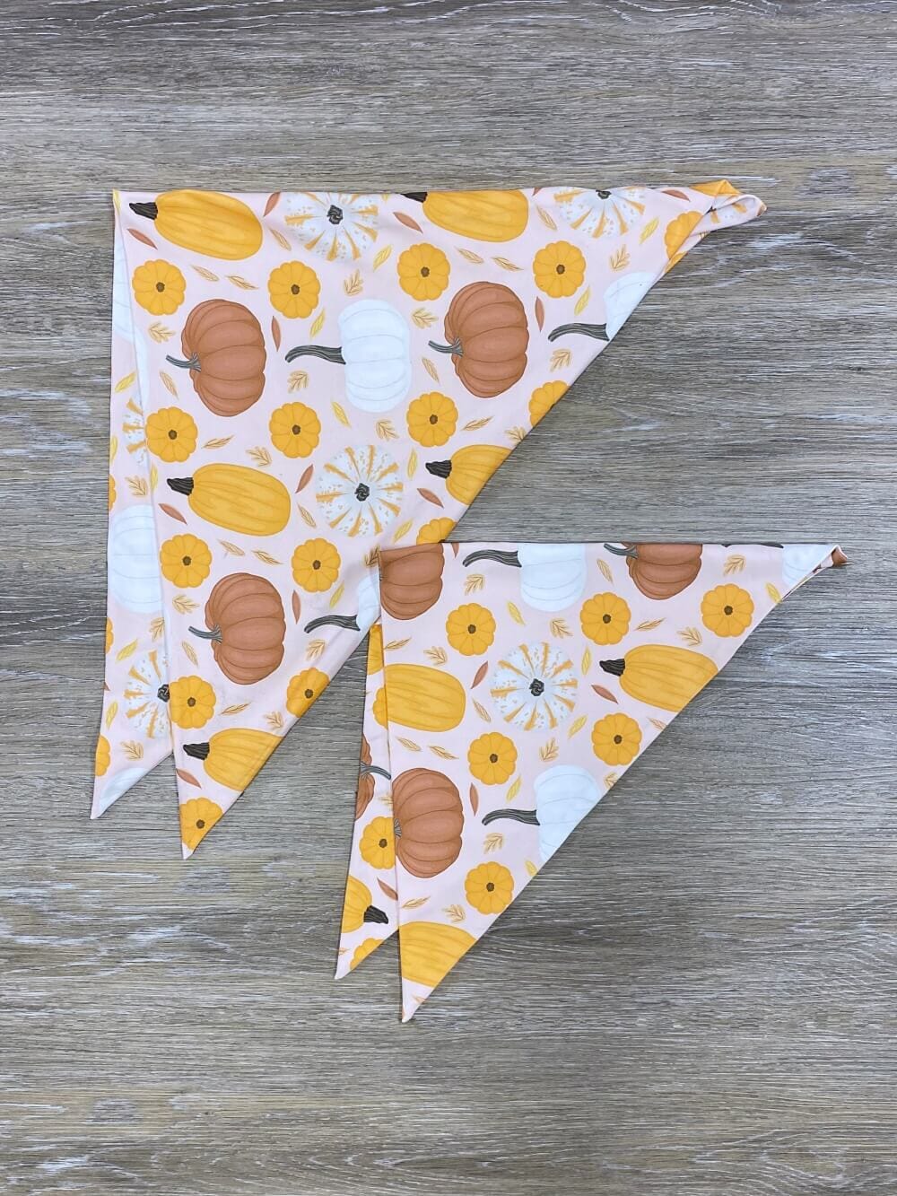 Gourd Vibes Only Fall Dog Bandana - Sydney So Sweet