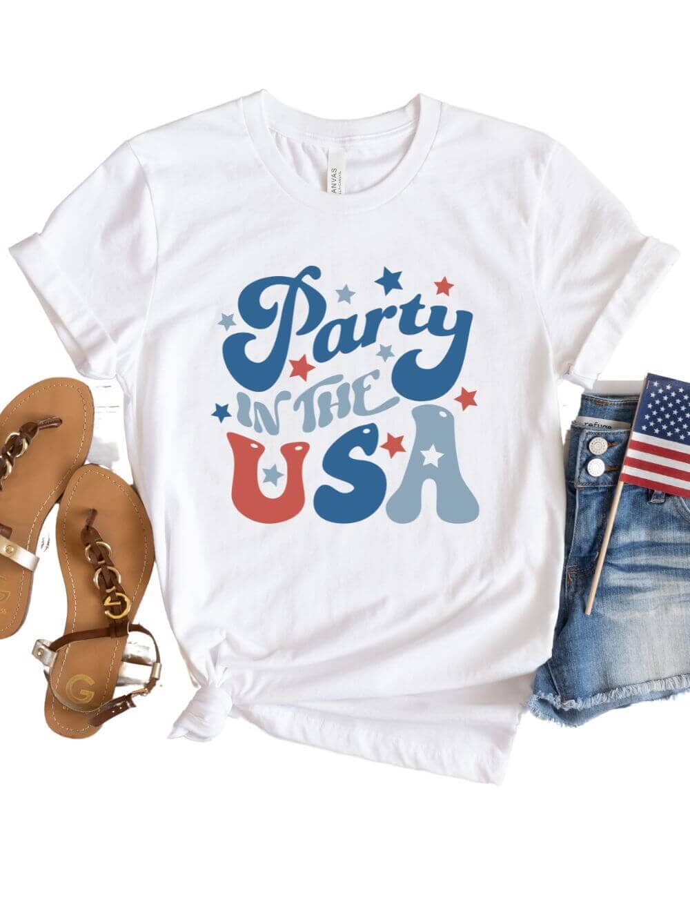  Party In The USA Hot Dog Short Sleeve Graphic Tee : Handmade  Products