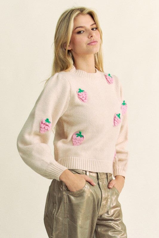 Davi & Dani Crochet Strawberry Round Neck Sweater - Sydney So Sweet