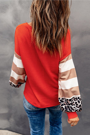 Hello Pumpkin Women's Leopard Graphic V-Neck Long Sleeve Top - Sydney So Sweet