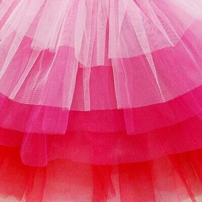 Pink, Hot Pink, Red 6 Layer Tutu Skirt Costume for Girls, Women, Plus - Sydney So Sweet