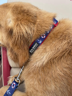 Anchor Yacht Club Boat Collection Fashion Dog Collar - Sydney So Sweet