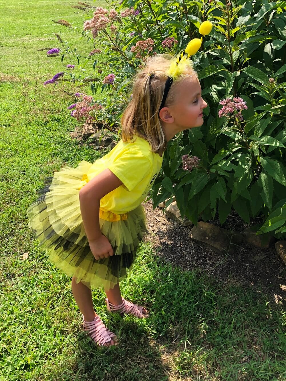 Girls Bee Costume - Complete Bumblebee Kids Costume Set with Tutu & Antenna Headband - Sydney So Sweet