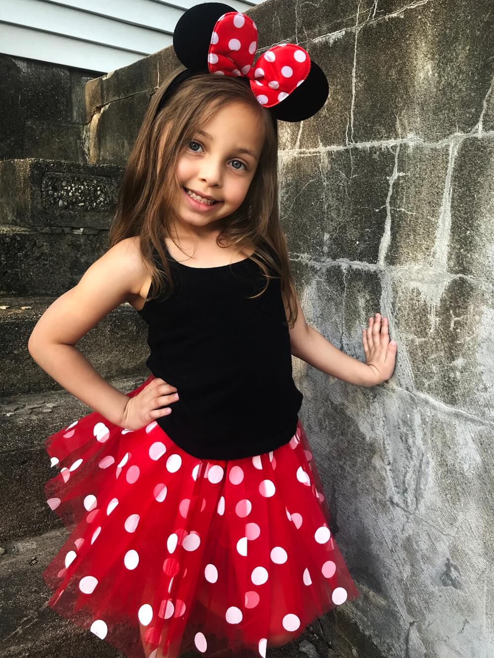 Minnie mouse tutu sales womens