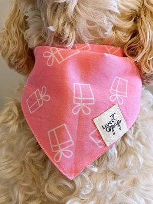 Dog Bandana - Dog Birthday Bandana Gifted Pink - Sydney So Sweet