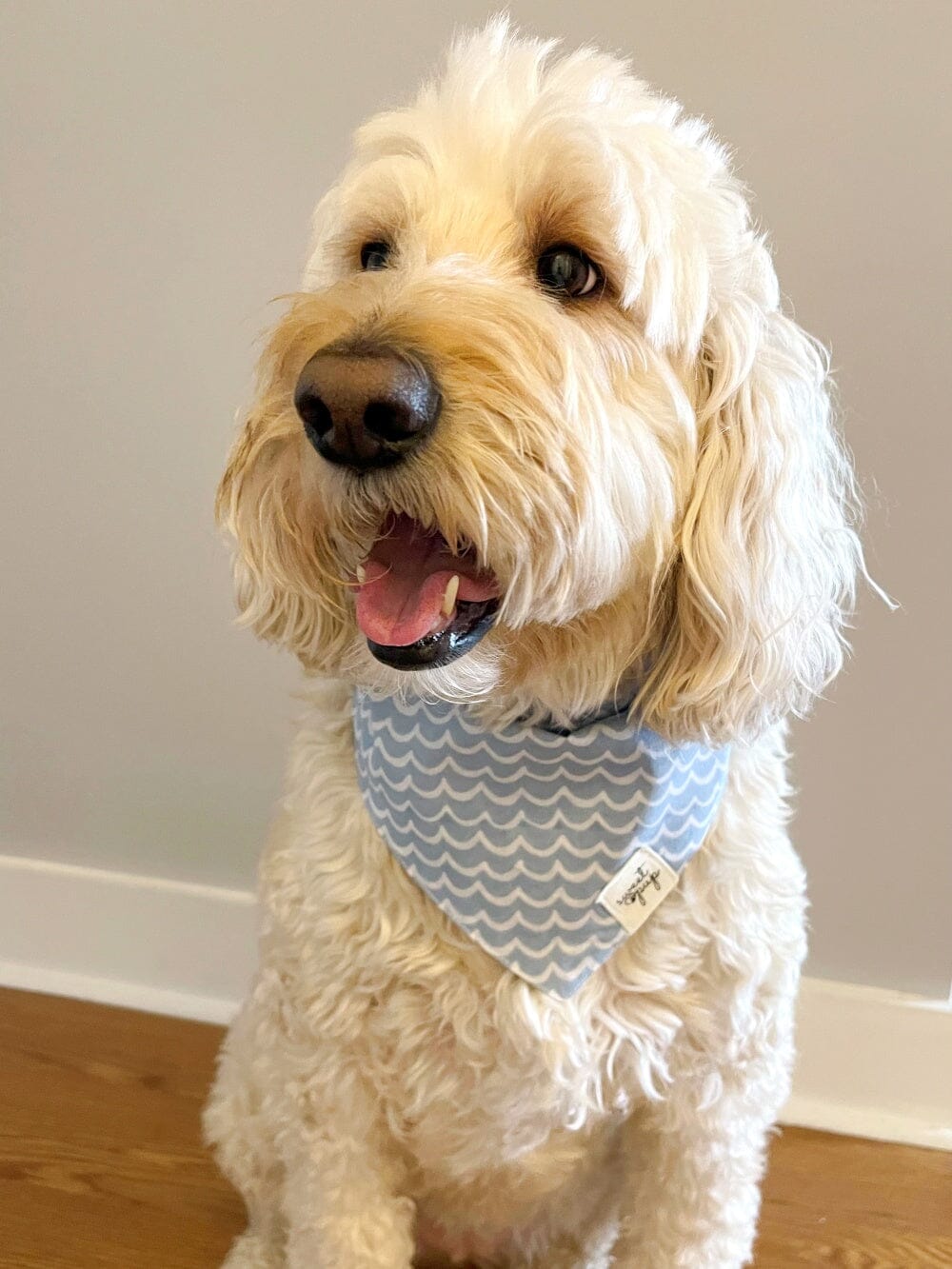 Dog Bandana - Perfect Wave Beach Blue - Sydney So Sweet