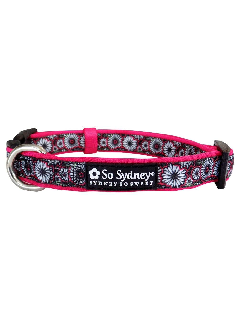 Hot Pink &amp; Black Daisy Floral Fashion Cute Dog Collar - Sydney So Sweet