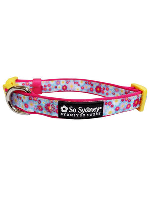 Wildflower Daisy Pink & Blue Comfy, Cute, Fashion Dog Collar - Sydney So Sweet