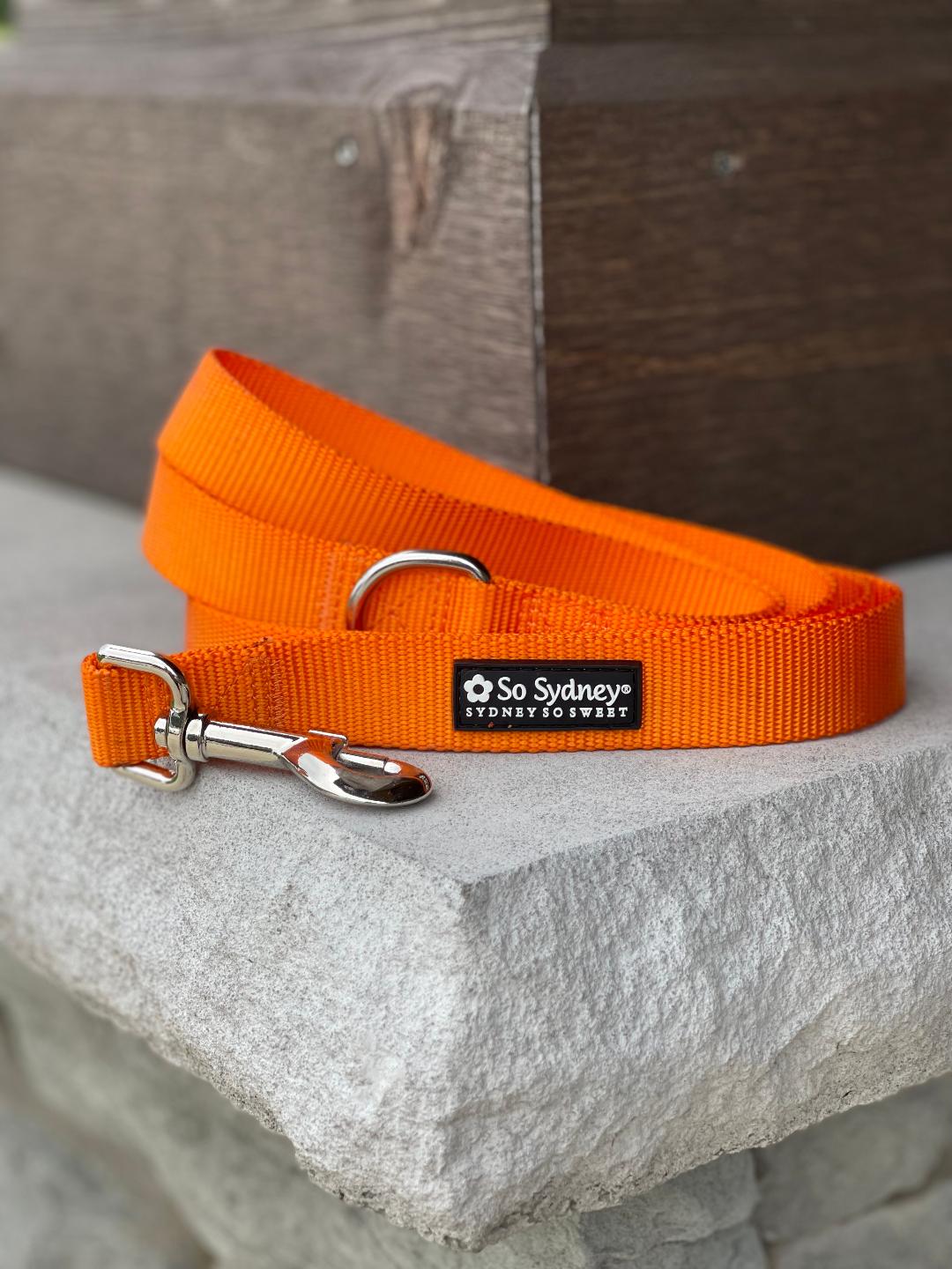 Orange Nylon Dog Leash for Small, Medium, or Large Dogs - Sydney So Sweet