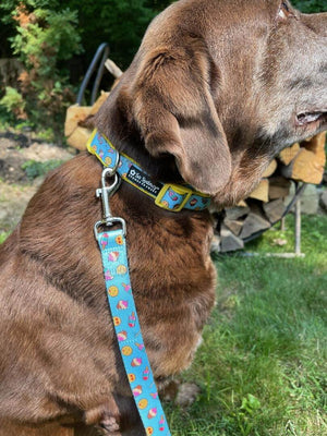 Emojis & Treats Blue & Yellow Adjustable Unique Dog Collar - Sydney So Sweet