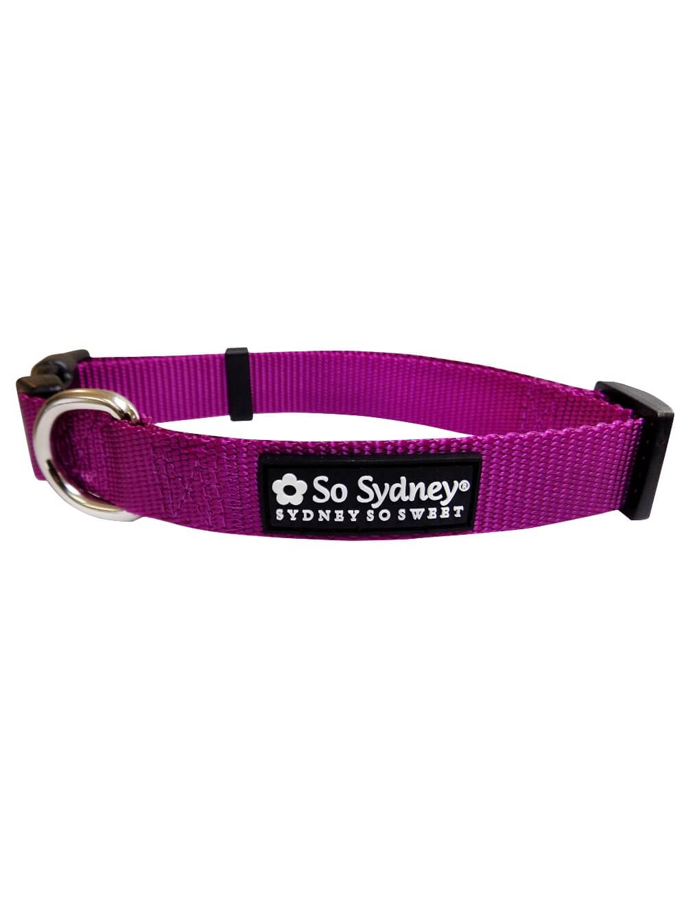 Grape Purple Adjustable Fashion Nylon Dog Collar - Sydney So Sweet