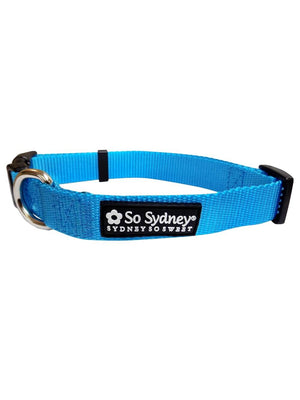 Light Blue Adjustable Nylon Dog Collar for Small, Medium, or Large Dogs - Sydney So Sweet