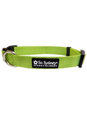 Lime Green Adjustable Dog Collar for Small, Medium, or Large Dogs - Sydney So Sweet
