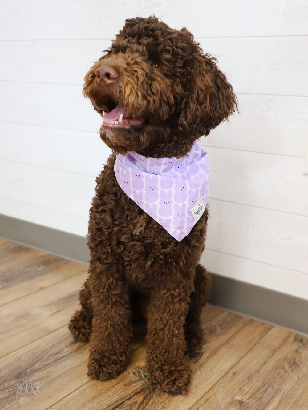 Dog Bandana - Lavender Easter Peep - Sydney So Sweet