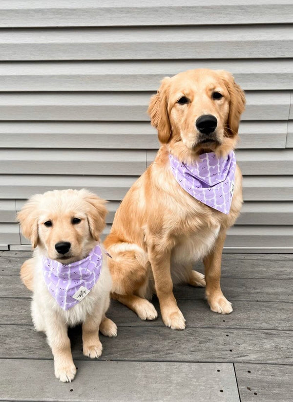 Lavender menace dog store bandanas