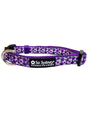 Pansy Purple Floral Cute & Comfy High Fashion Dog Collar - Sydney So Sweet