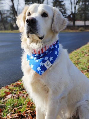 Dog Bandana - Patriotic American Flag Reversible - Sydney So Sweet