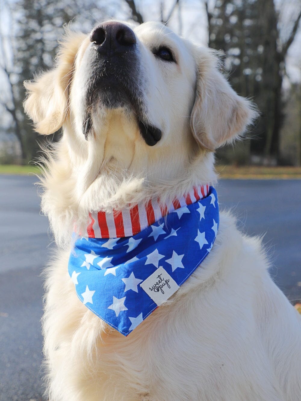 Dog Bandana - Patriotic American Flag Reversible - Sydney So Sweet