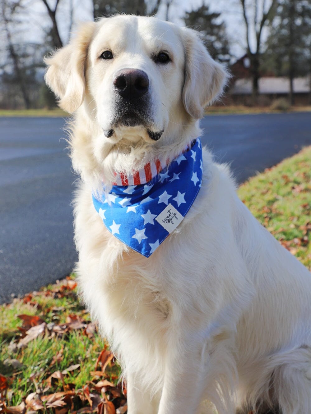 Dog Bandana - Patriotic American Flag Reversible - Sydney So Sweet