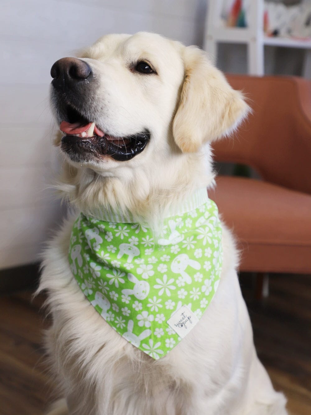 Dog Bandana - Skippy Spring Rabbit &amp; Stripe Reversible - Sydney So Sweet