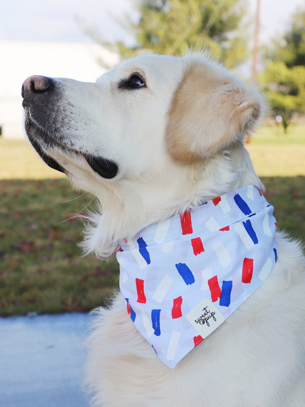 Dog Bandana - Summer Dazzle Red &amp; Blue - Sydney So Sweet