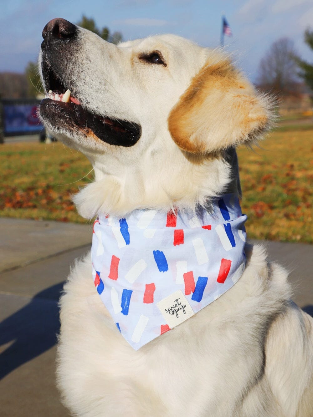 Dog Bandana - Summer Dazzle Red & Blue - Sydney So Sweet