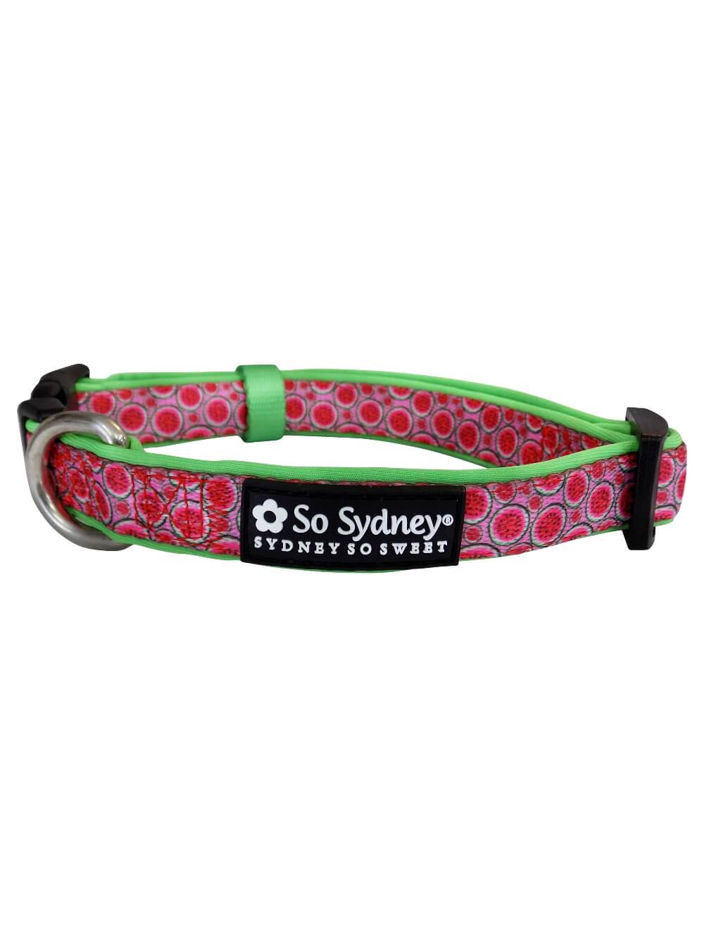 Watermelon Sugar Pink &amp; Green Fun Fashion Dog Collar - Sydney So Sweet