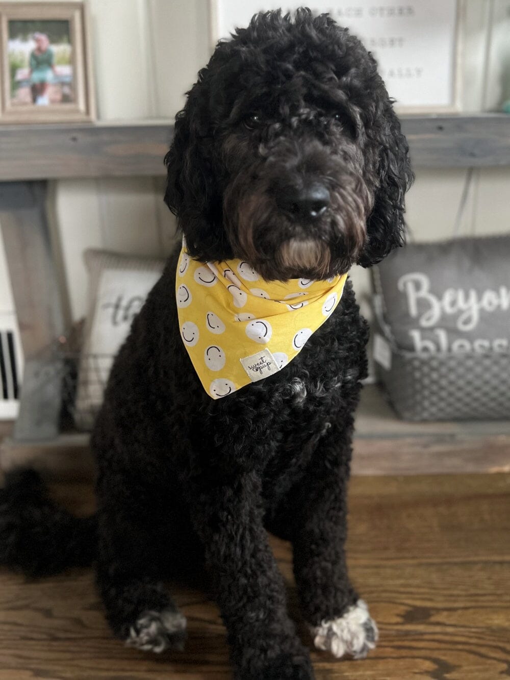 Dog Bandana - Smile Face Friends Yellow - Sydney So Sweet